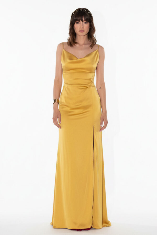 Mustard Long Dress