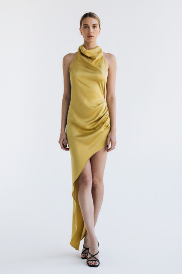 Elegant Tail Dress