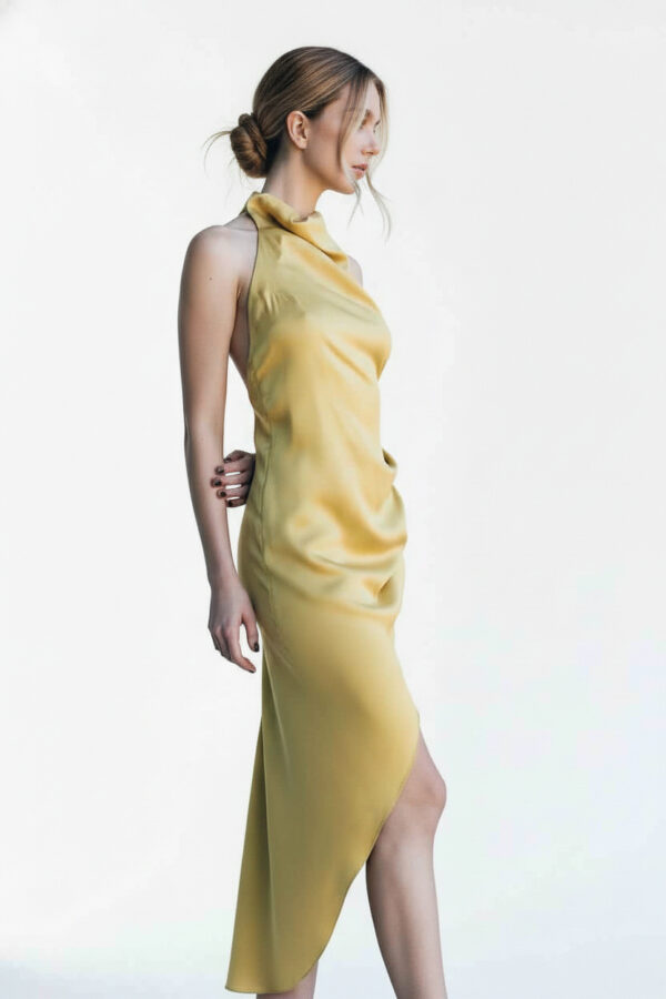 Elegant Tail Dress